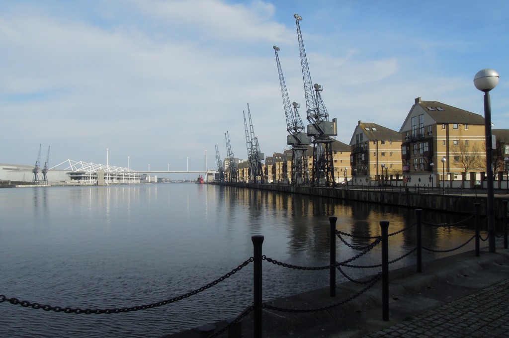 royaldock2